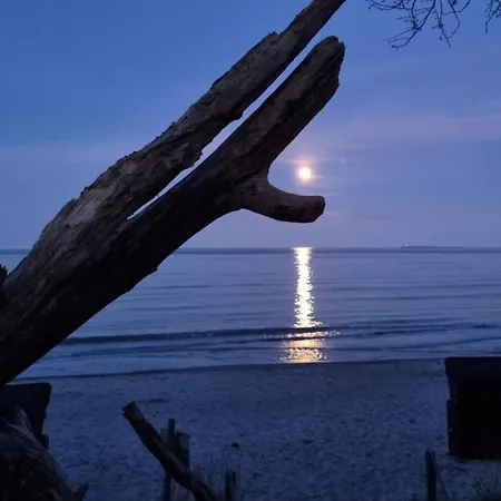Ferienwohnanlage Odins Blick - 17 - Direkt Am Privatstrand, Mit Sauna, Garten Lobbe
